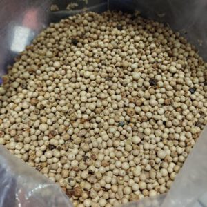 Poivre blanc de Penja du Cameroun