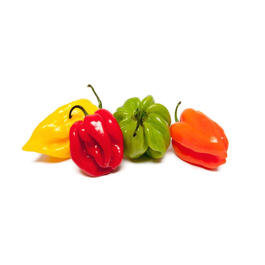 Piment frais Martinique